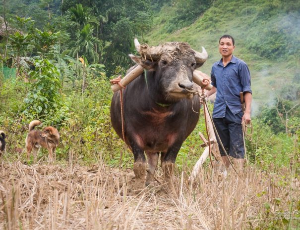 mai chau pu luong tribal trekking