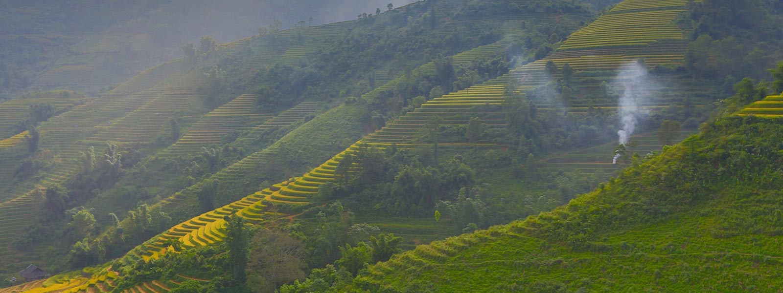 Sapa Serious Trekker Trung Chai