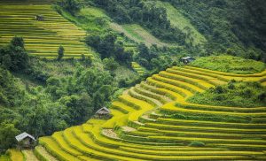 places to visit in north vietnam