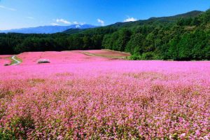  best time to visit Northern Vietnam