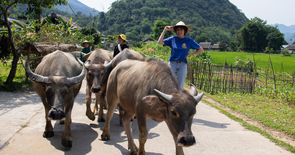 Tourists experience rural Vietnam village life