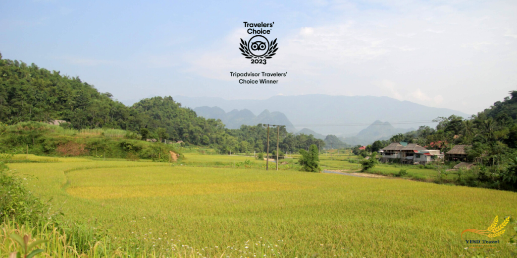 HA GIANG LOOP CAR TOUR WITH DRIVER IN 4 DAYS 3 NIGHTS 17 Tripadvisor Travelers' Choice Awards 2023- YESD Travel- Mai Chau Pu Puong Vietnam