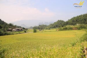 Mai Chau Valley: A 3-day detailed itinerary