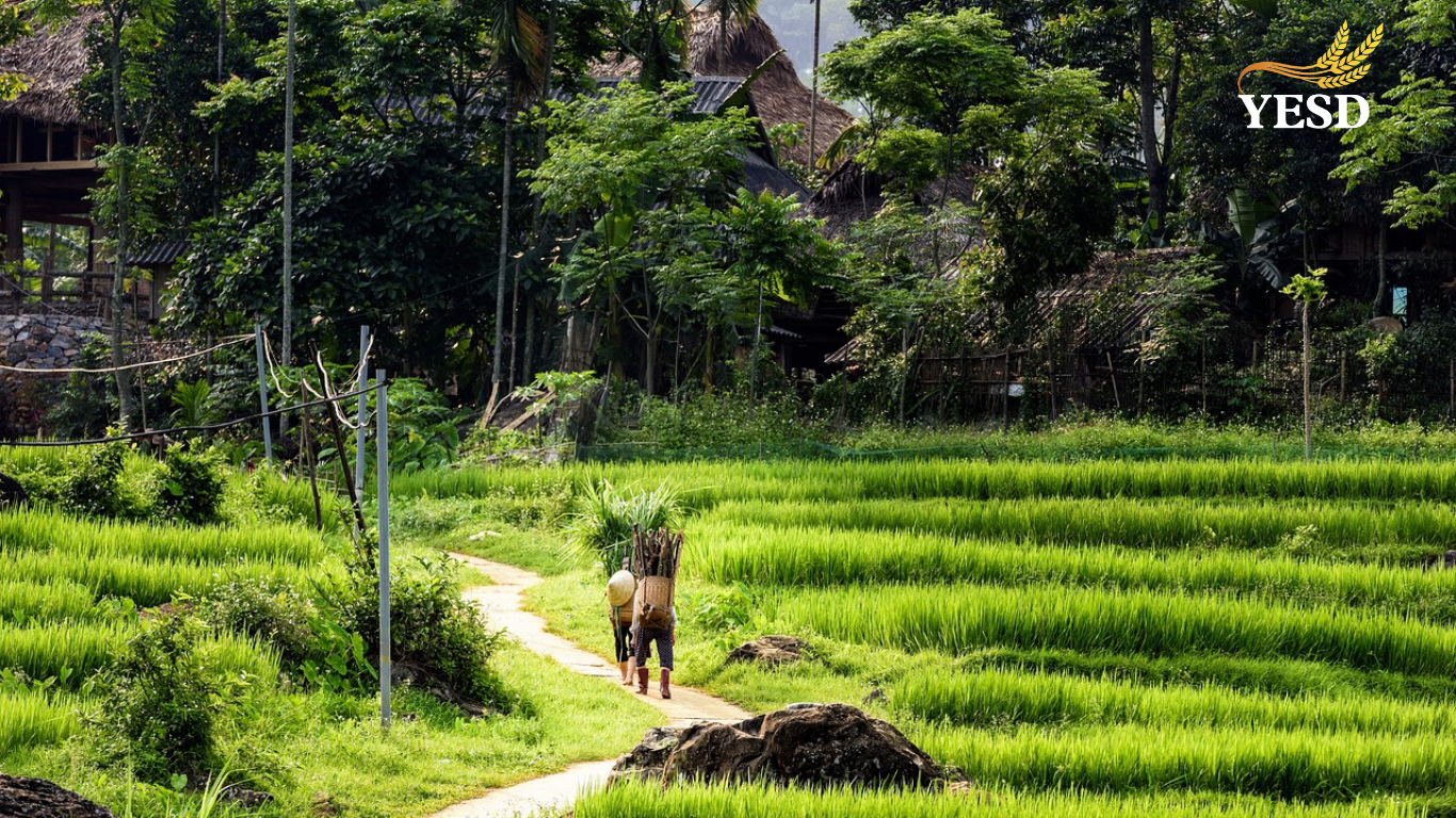 Pu Luong, Vietnam