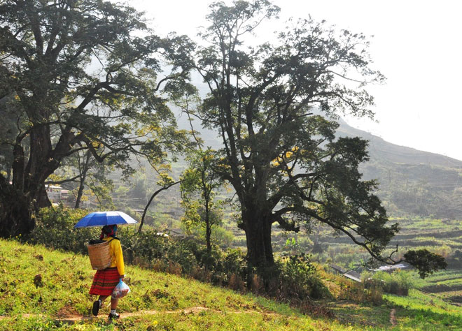 Thien Huong Village in Ha Giang 