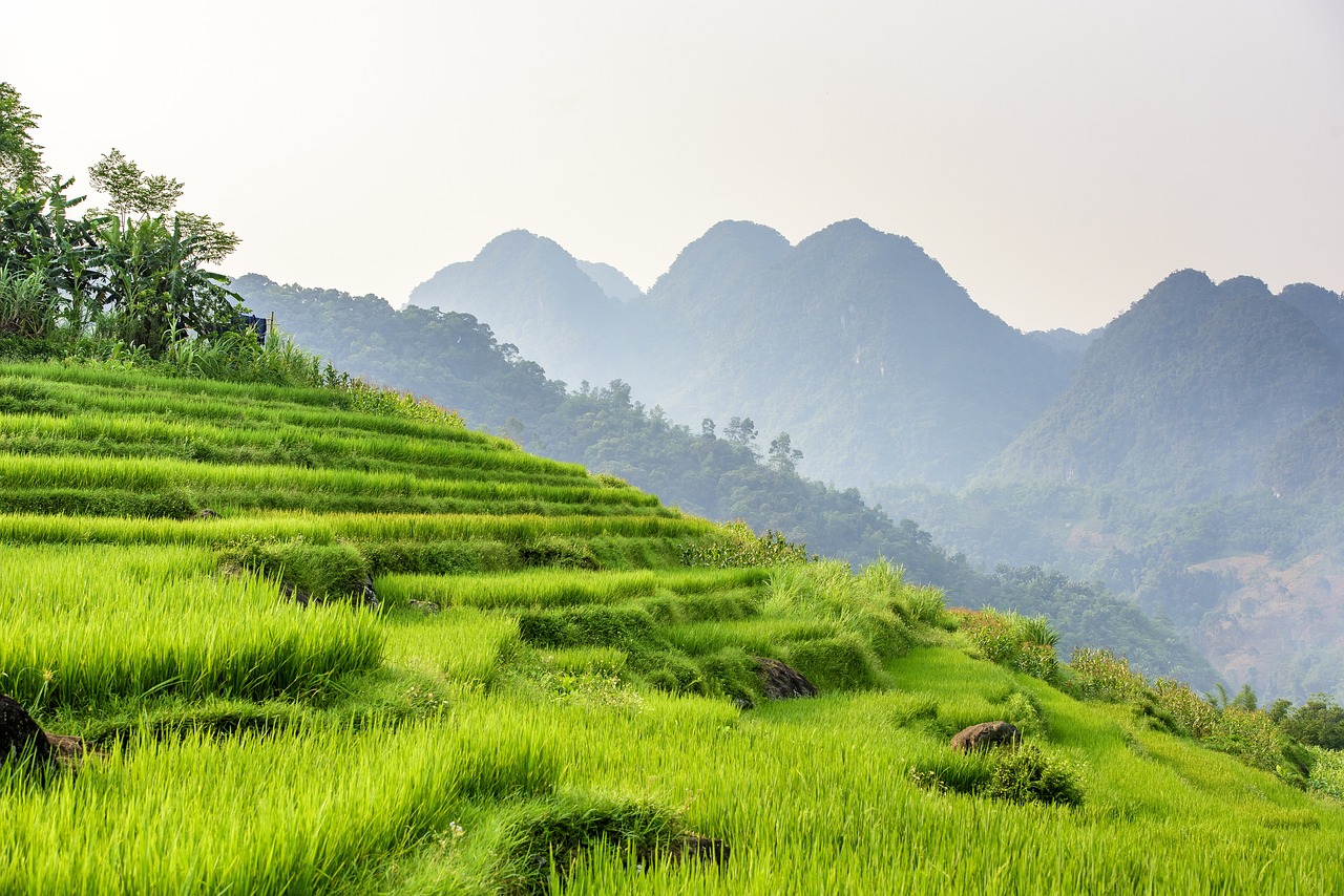 2-Week Northern Vietnam Discovery Tour 5 Pu Luong Nature Reserve: A Hidden Gem in Vietnam