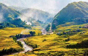 alternatives to Sapa