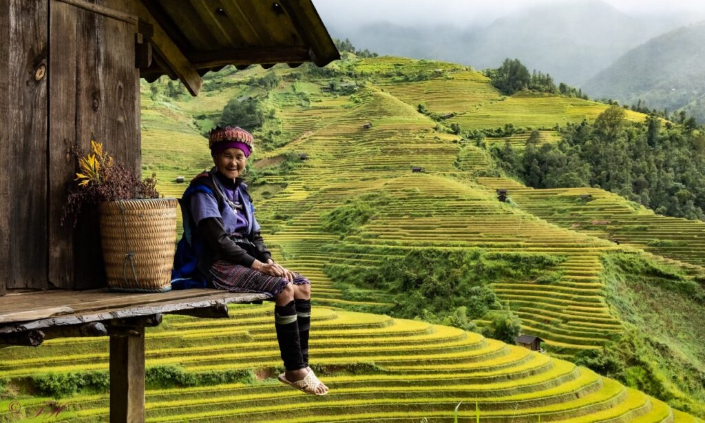 The Best Rice Fields in Vietnam's Picturesque Landscapes