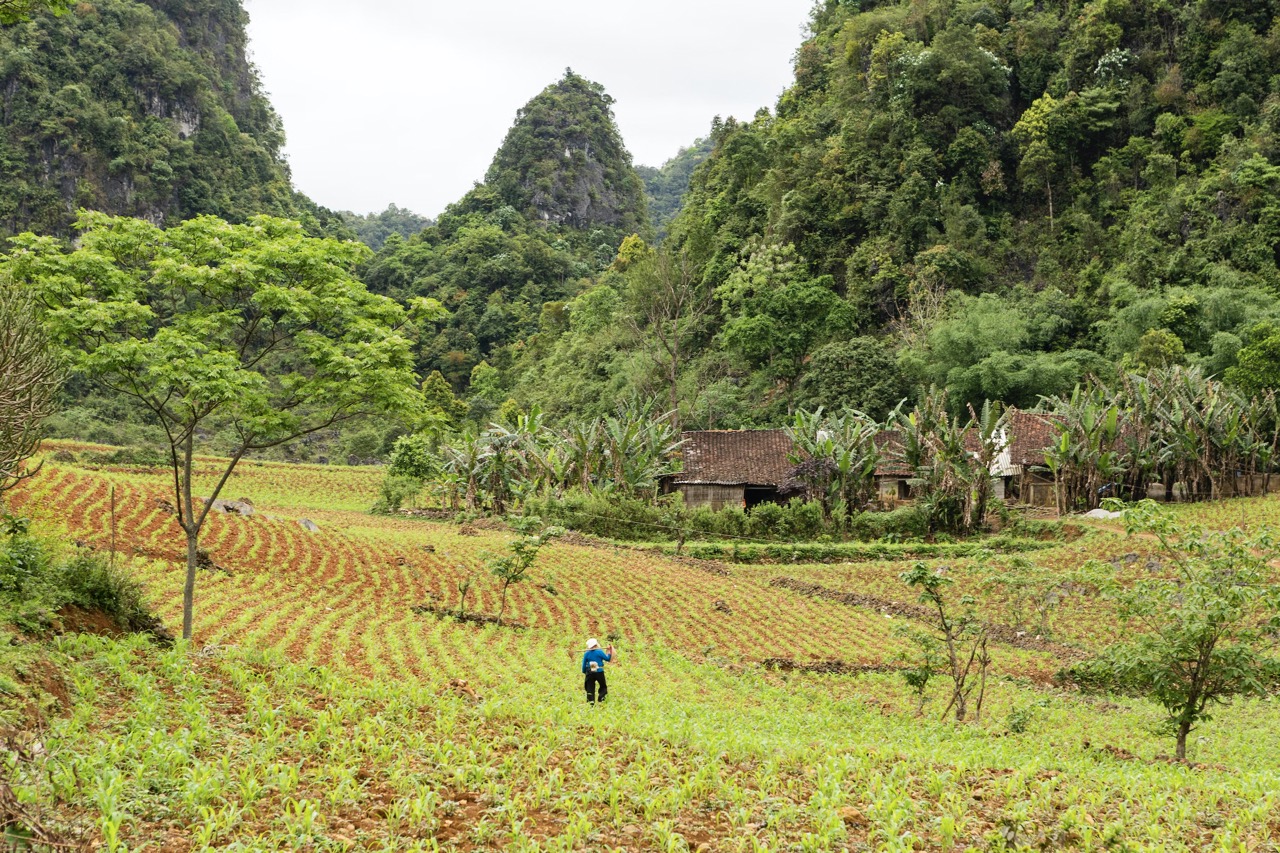 ban gioc homestay cao bang discovery