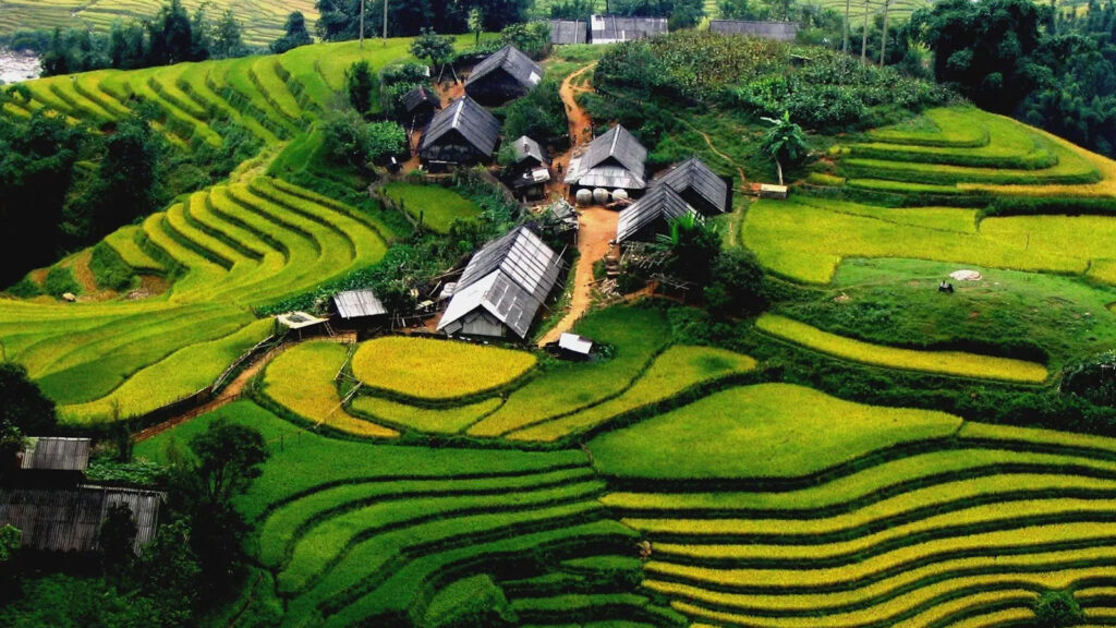 Y Linh Ho Village: A Tranquil Oasis Amidst Sapa's Splendor 1 y linh ho