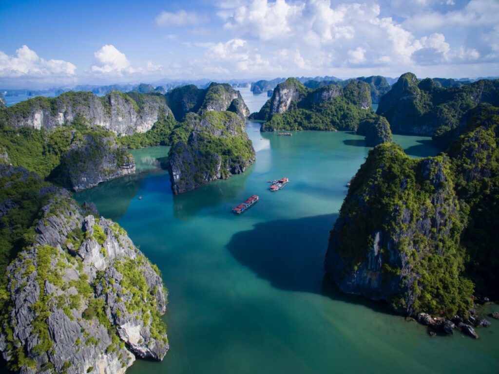 bai tu long bay