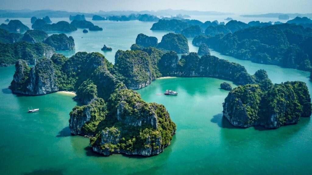 bai tu long bay