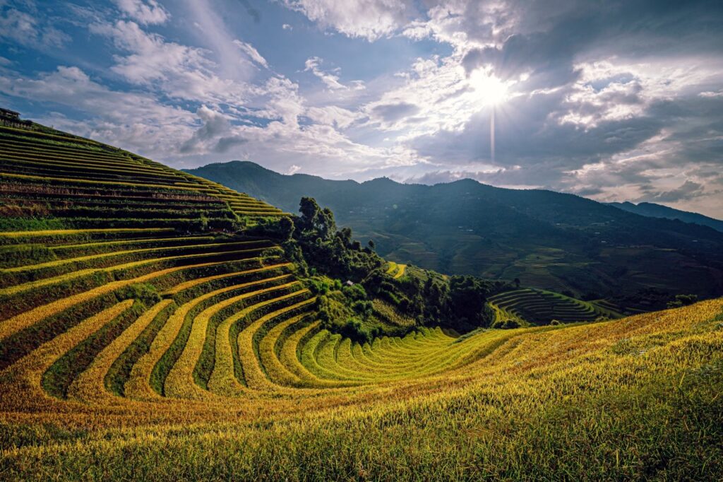 mu cang chai rice terraces