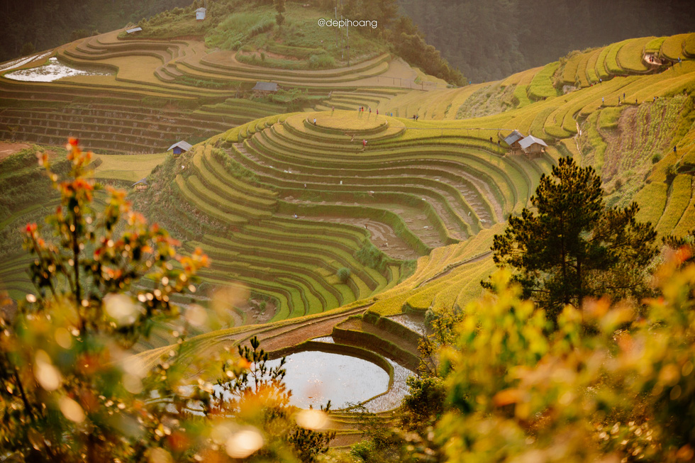mu cang chai