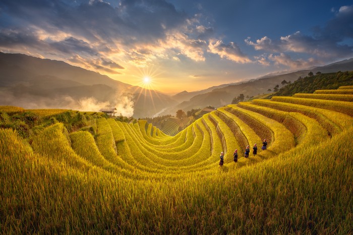 Mu Cang Chai, Yen Bai Vietnam