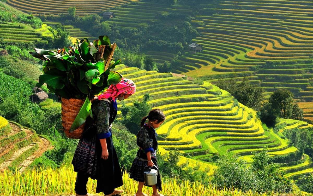 Ninh Binh 2 Day Tour For Nature Lover 6 What to See in Sapa: The Ultimate Guide