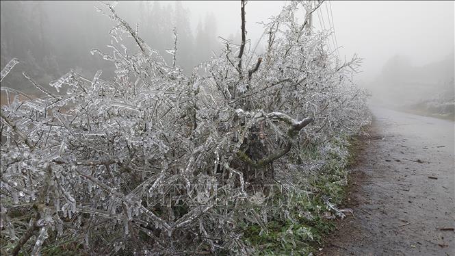 ha giang snow vietnam