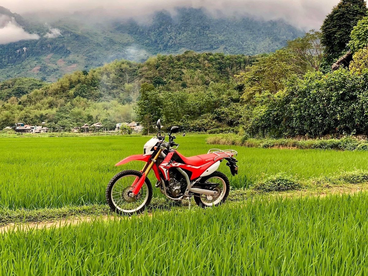 International Driving Permit in Vietnam