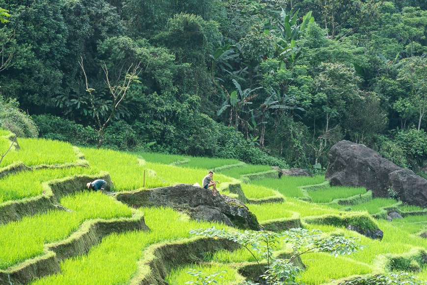 Mai Chau - Pu Luong - Ninh Binh Tour in 4 Days 3 Nights 2 Exploring the Enchanting Rice Paddies in Vietnam