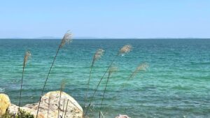 Quan Lan Island: A Journey to Discover Tranquility