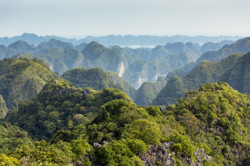 Viewpoint Cat Ba: A Trekking Adventure in Cat Ba National Park
