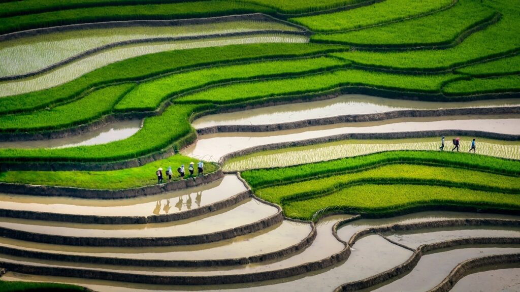 Mu cang chai vietnam