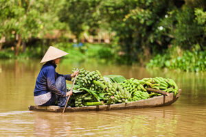 Mekong Delta Tour in Vietnam