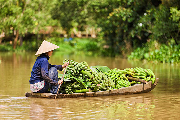 Mekong Delta Tour in Vietnam