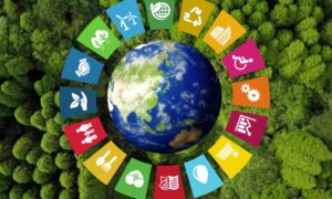 Social Enterprise Hub of Tourism and Hospitality in Vietnam