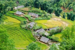 trekking tour sapa