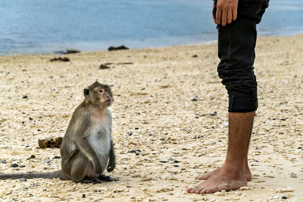 eco tourism