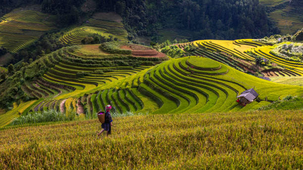 Yen Bai Vietnam