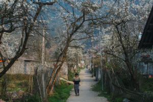 Off the Beaten Track in Vietnam