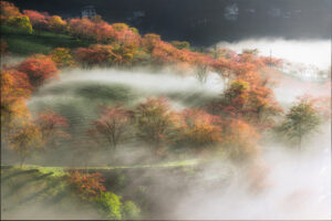 Weather in Vietnam December