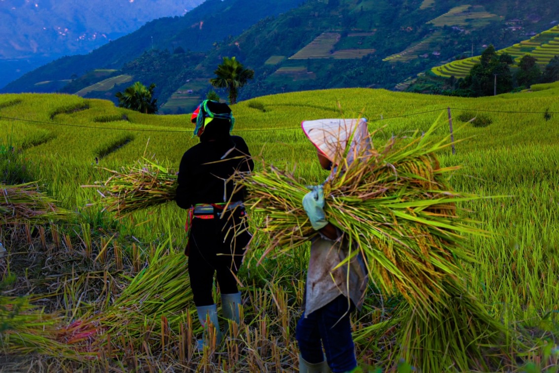 Ha Giang trekking