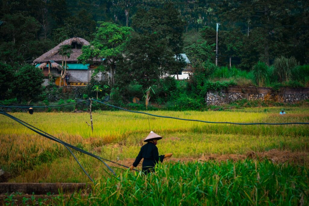 Top Reasons to Visit Ha Giang in Autumn 1 Ha Giang in Autumn