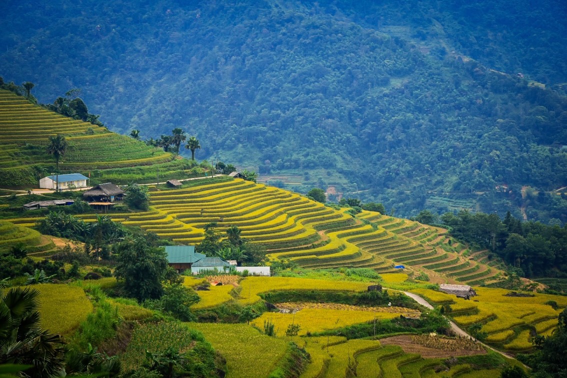 Autumn in Ha Giang, Vietnam 