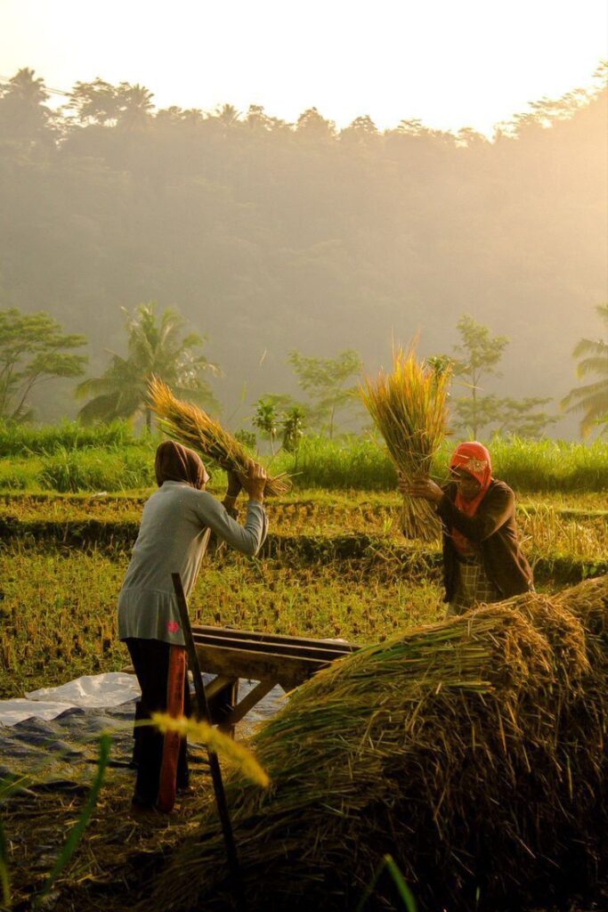 Vietnam Village Life