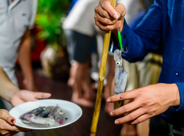 Ha long bay nightlife: Night Squid Fishing Tour