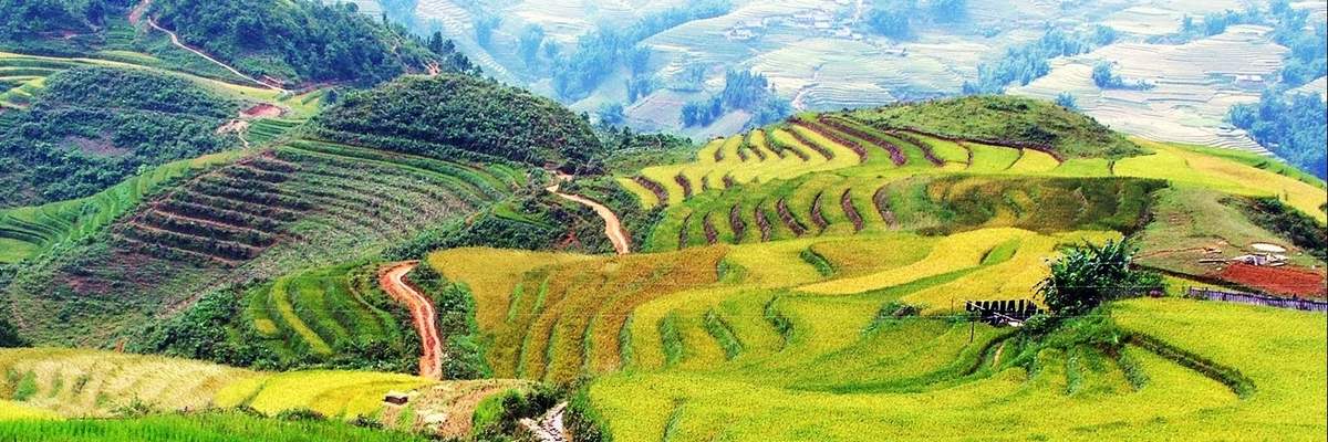 Most Beautiful Seasons in Sapa