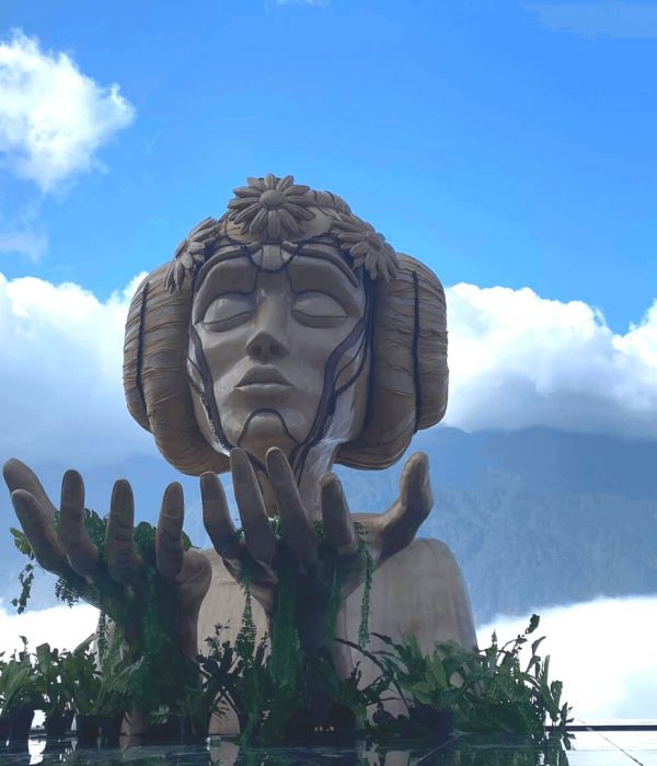 Moana Sapa Travel Guide: Tickets, Transportations & Photo Tips