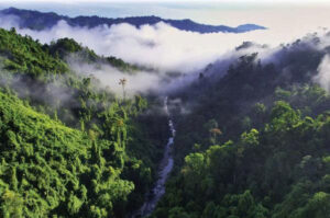 Ho Chi Minh Trail: Adventure on Vietnam's Historic Mountain Road