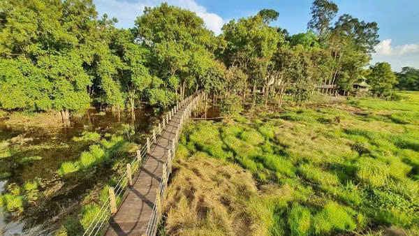 Ho Chi Minh Trail: Adventure on Vietnam's Historic Mountain Road