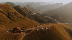 Ba Quang Burning Grass Hill: A Journey to Discover the Wild Beauty of Cao Bang