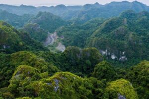 Cat Ba National Park Tour: Explore Vietnam’s Hidden Jungle Gem