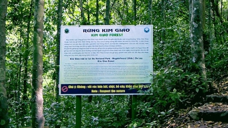 Kim Giao Forest: A Hidden Gem for Nature Lovers in Cat Ba Kim Giao Forest: A Hidden Gem for Nature Lovers in Cat Ba