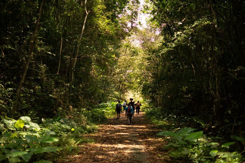 Kim Giao Forest: A Hidden Gem for Nature Lovers in Cat Ba Kim Giao Forest: A Hidden Gem for Nature Lovers in Cat Ba