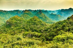 Ngu Lam Peak: The Best Viewpoint to See the Whole Cat Ba Island