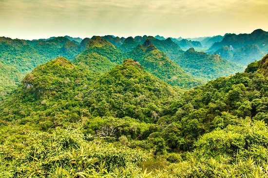 Ngu Lam Peak: The Best Viewpoint To See The Whole Cat Ba Island