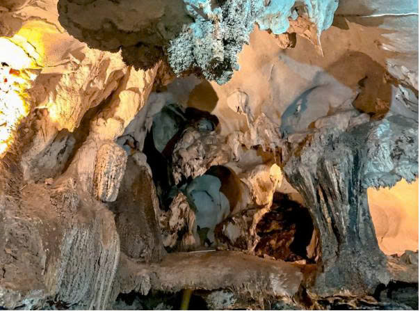 Cat Ba National Park Tour: Explore Vietnam’s Hidden Jungle Gem